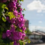 Previsão para esta semana indica tempo nublado com possibilidades de chuvas fracas a moderadas. Foto: Marcos Rodrigues/ASN