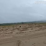 Equipes da Adema e da Marinha do Brasil estiveram no local e adotaram as medidas necessárias. Foto: Ascom/Adema