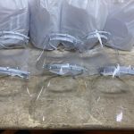 Equipamento garantirá segurança nas atividades desempenhada pelos servidores do órgão ambiental e dos catadores de resíduos. Foto: Marcos Rodrigues/Sedurbs