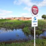 A equipe da Adema responsável pelo resgate de animais no Estado seguiu monitorando os animais para captura na manhã desta quinta-feira. Foto: Ascom Sedurbs/Adema