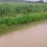 Técnicos da Defesa Civil Estadual também avaliaram in loco a situação da barragem Jacarecica II, que fica entre os municípios de Riachuelo e Malhador. Foto: Ascom Sedurbs/Defesa Civil