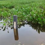 Técnicos da Defesa Civil Estadual também avaliaram in loco a situação da barragem Jacarecica II, que fica entre os municípios de Riachuelo e Malhador. Foto: Ascom Sedurbs/Defesa Civil
