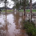 Profissionais da Defesa Civil Estadual avaliaram situação em Riachuelo, Santa Rosa de Lima e Laranjeiras. Fotos: Depec