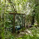 Parceria da Serhma com a Chesf contempla o replantio de 20 mil mudas em 10 hectares do bioma Mata Atlântica. Foto: Arquivo Sedurbs