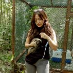 Parceria da Serhma com a Chesf contempla o replantio de 20 mil mudas em 10 hectares do bioma Mata Atlântica. Foto: Arquivo Sedurbs