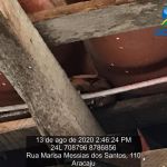 Equipes da Adema realizaram cinco ações em prol dos animais silvestres. Foto: Adema.