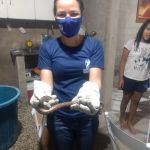 Adema esclarece quais os cuidados prévios a população deve efetuar ao encontrar o réptil e como identificar quando é venenosa ou não. Foto: Adema.