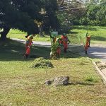 Importante área de lazer da Zona Norte da capital seguirá todos os protocolos recomendados pela Secretaria do Estado da Saúde. Foto: Adema.