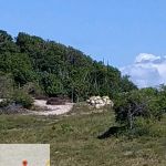 Duas pessoas foram autuadas por crime ambiental e maquinário e materiais de construção foram apreendidos. Foto: Adema.