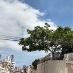 Meteorologia prevê que tempo continua instável, mas sol aparece com mais frequência durante esta semana. Foto: Marcos Rodrigues.