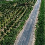 Rodovia que liga Umbaúba ao Povoado Queimada Grande já é realidade para a população