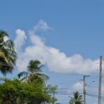 Foto: Marcos Rodrigues.