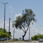 Foto: Marcos Rodrigues.