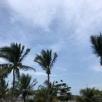 Foto: Marcos Rodrigues