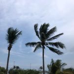 Foto: Marcos Rodrigues