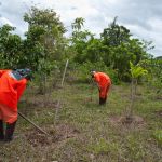 Foto: Ascom/Sedurbs.