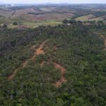 Foto: Marcos Rodrigues.