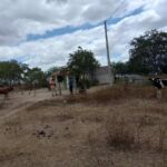 Atividades executadas pela Defesa Civil objetivam minimizar danos causados pela estiagem a aproximadamente 45 mil pessoas afetadas em 10 municípios.
Foto: Arquivo Defesa Civil.
