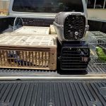 Animais eram criados em casa há mais de 25 anos e família não tinha consciência que cometia crime ambiental. Foto: Adema.