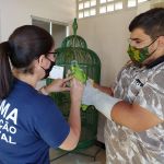 Animais eram criados em casa há mais de 25 anos e família não tinha consciência que cometia crime ambiental. Foto: Adema.