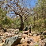 Profissão busca educar, orientar e fiscalizar sobre os cuidados para garantir a preservação do meio ambiente e sua qualidade . Foto: Ascom/arquivo.