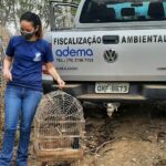 Algumas espécies resgatadas ainda estão sob cuidados veterinários