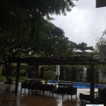 Órgão ambiental encaminhou os animais mais debilitados para tratamento no Cetas. Foto: Adema.