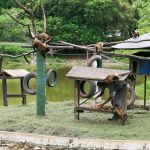 Manutenção do espaço e zelo com os animais são realizados diariamente. Foto: Marcos Rodrigues/ASN.