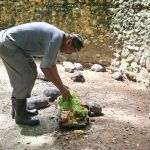 Manutenção do espaço e zelo com os animais são realizados diariamente. Foto: Marcos Rodrigues/ASN.