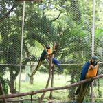 Manutenção do espaço e zelo com os animais são realizados diariamente. Foto: Marcos Rodrigues/ASN.