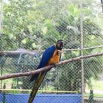 Manutenção do espaço e zelo com os animais são realizados diariamente. Foto: Marcos Rodrigues/ASN.