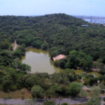 parque da cidade