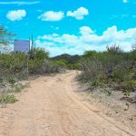 Foto: Marcos Rodrigues