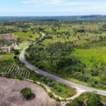 Fotos: Marcos Rodrigues