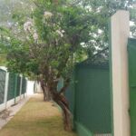 Fotos: Ascom Sedurbi