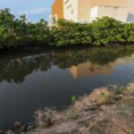 Canal do bairro Industrial / Foto: Arthur Soares