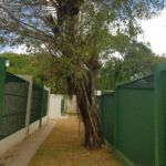 Cetas do Parque da Cidade / Foto: Ascom Sedurbi