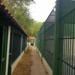 Fotos: Ascom Sedurbi