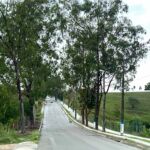 Fotos: Marcos Rodrigues