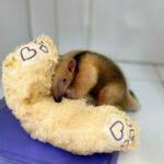 Foto: Marcos Rodrigues