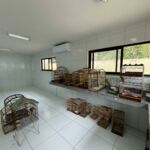 Foto: Marcos Rodrigues