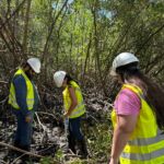 Projeto adota 23 programas socioambientais para garantir a preservação ambiental na construção do maior empreendimento que irá melhorar a mobilidade urbana da capital / Foto: Marcos Rodrigues