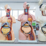 Escolas são equipadas com laboratórios / Foto: Igor Matias